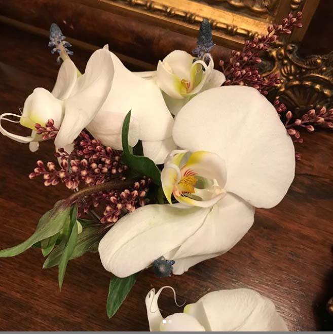 Phaleonopisis blooms