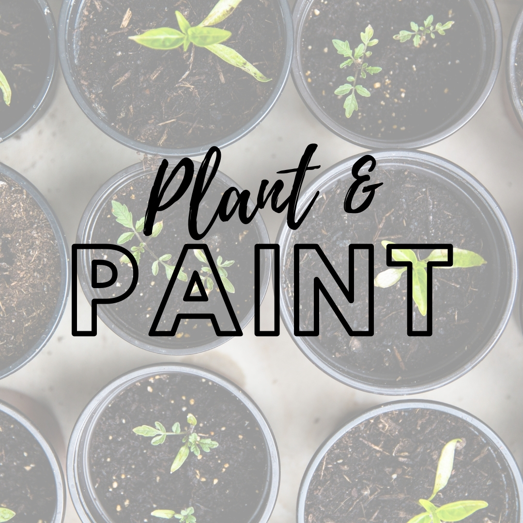 Plant and paint.jpg