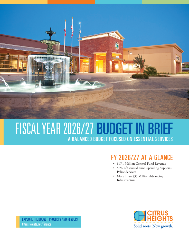 Budget in Brief brochure