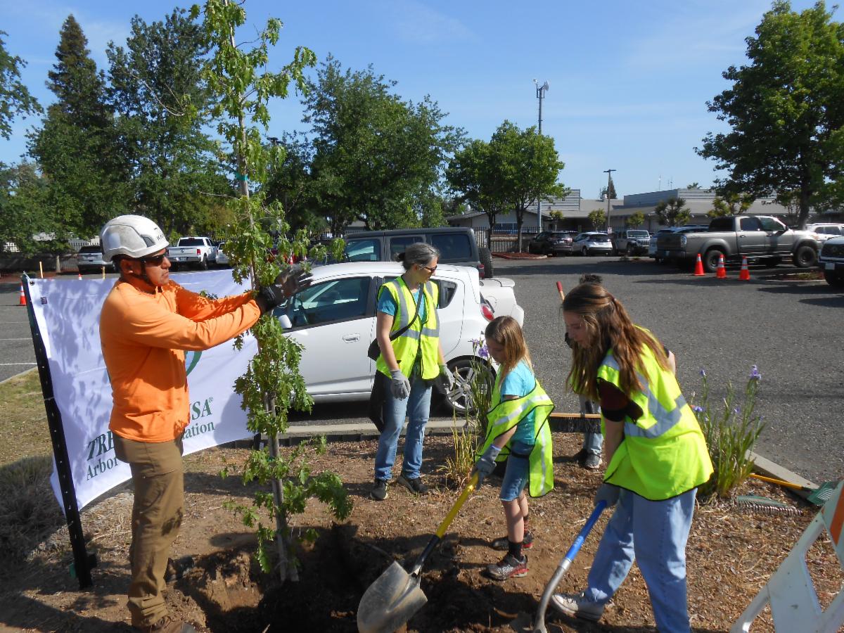 Volunteering in Citrus Heights graphic