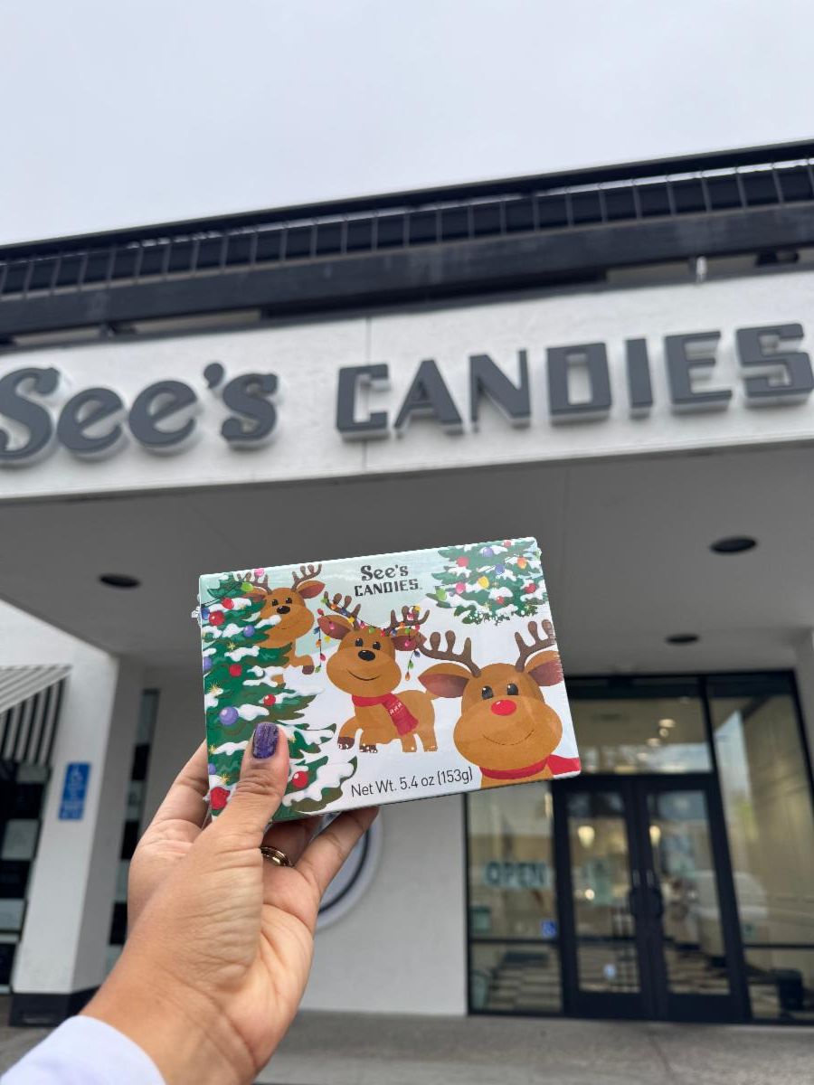 Citrus Heights Animal Services