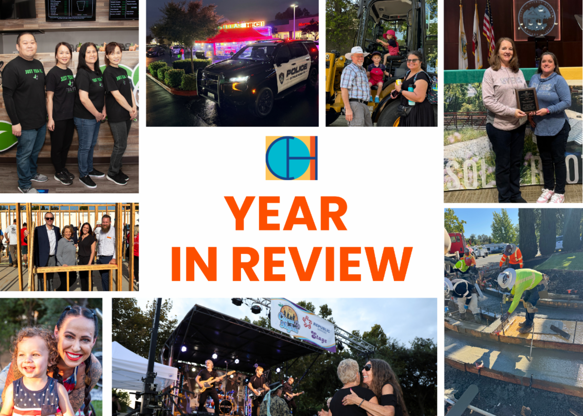 Year in Review graphic
