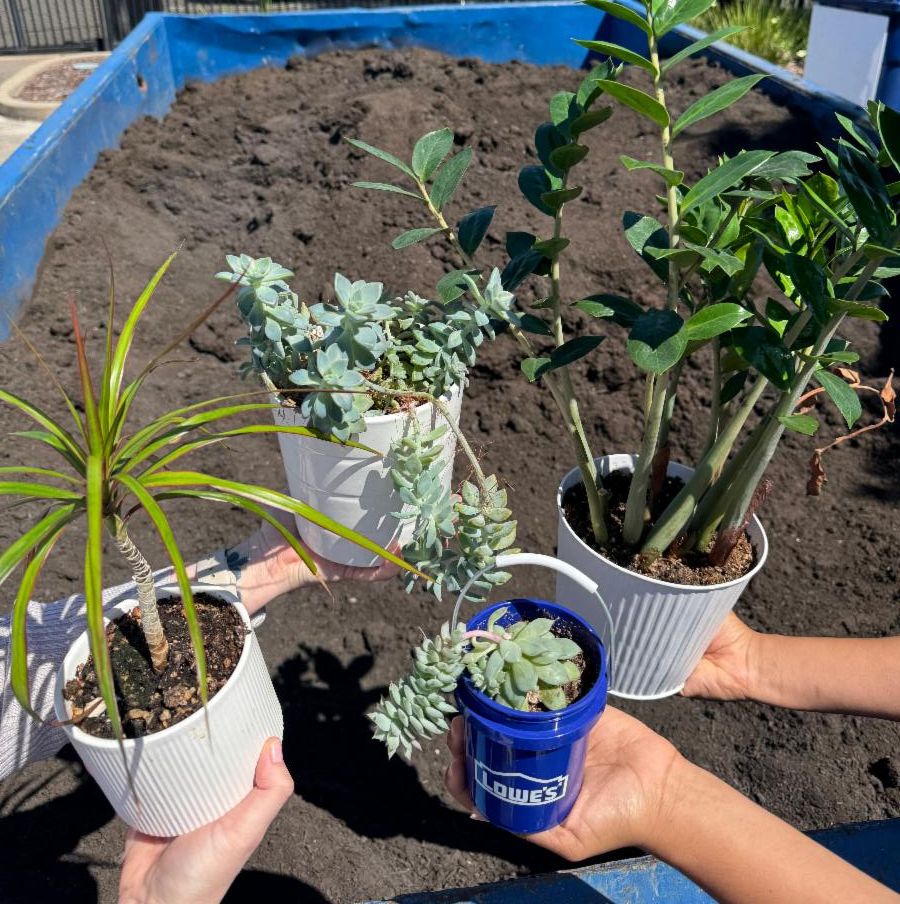 Kitchen Pail and Compost Giveaway