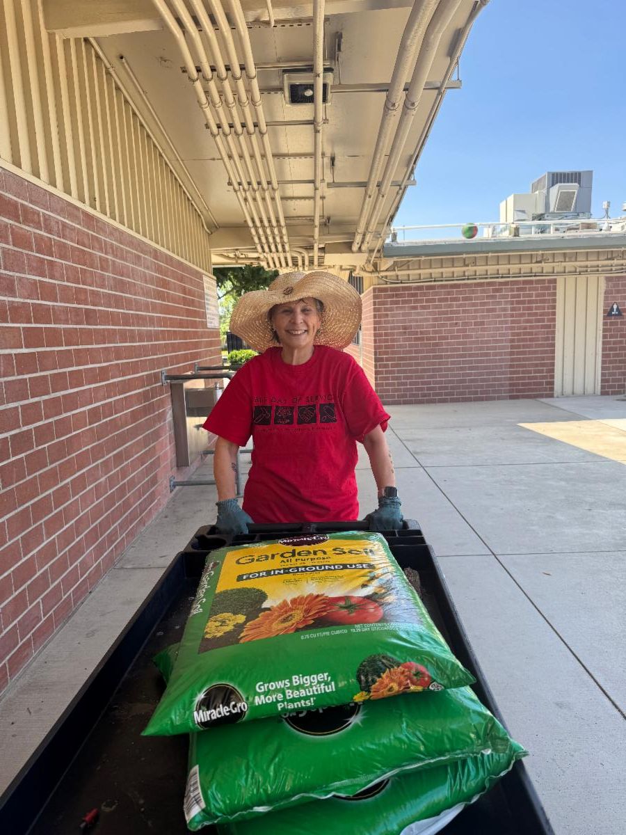 Big Day of Service graphic