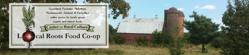 website logo