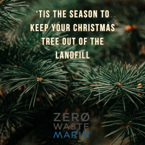 Close up image of a pine tree with the text 'tis the season to keep your christmas tree out of the landfill'