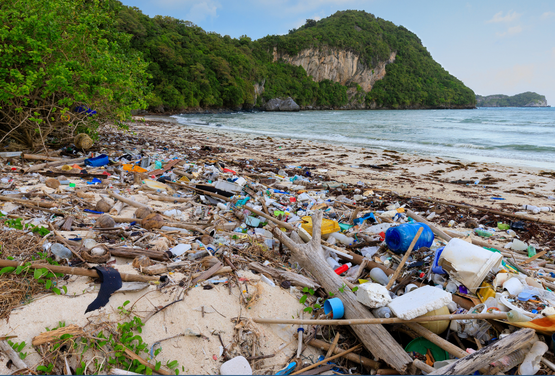 A beach heavily littered with plastic waste driftwood and other debris with dense green vegetation and rocky cliffs in the background
