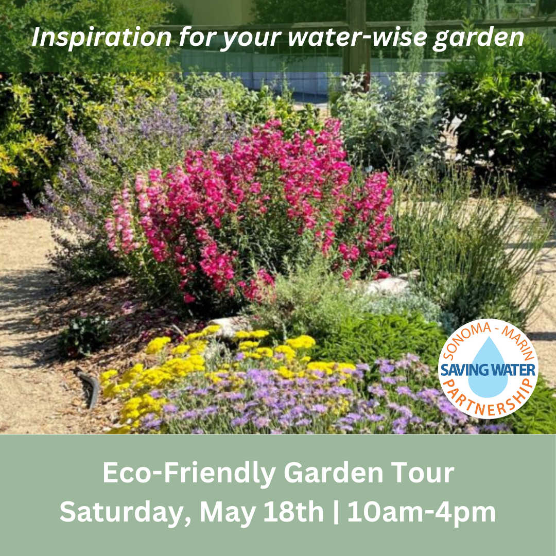 A lush garden with native plants with text saying inspiration for your water wise garden partnered with the logo for the Sonoma-Marin Saving Water Partnership