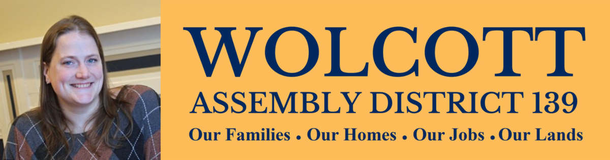 Sarah Wolcott for NY Assembly District 139