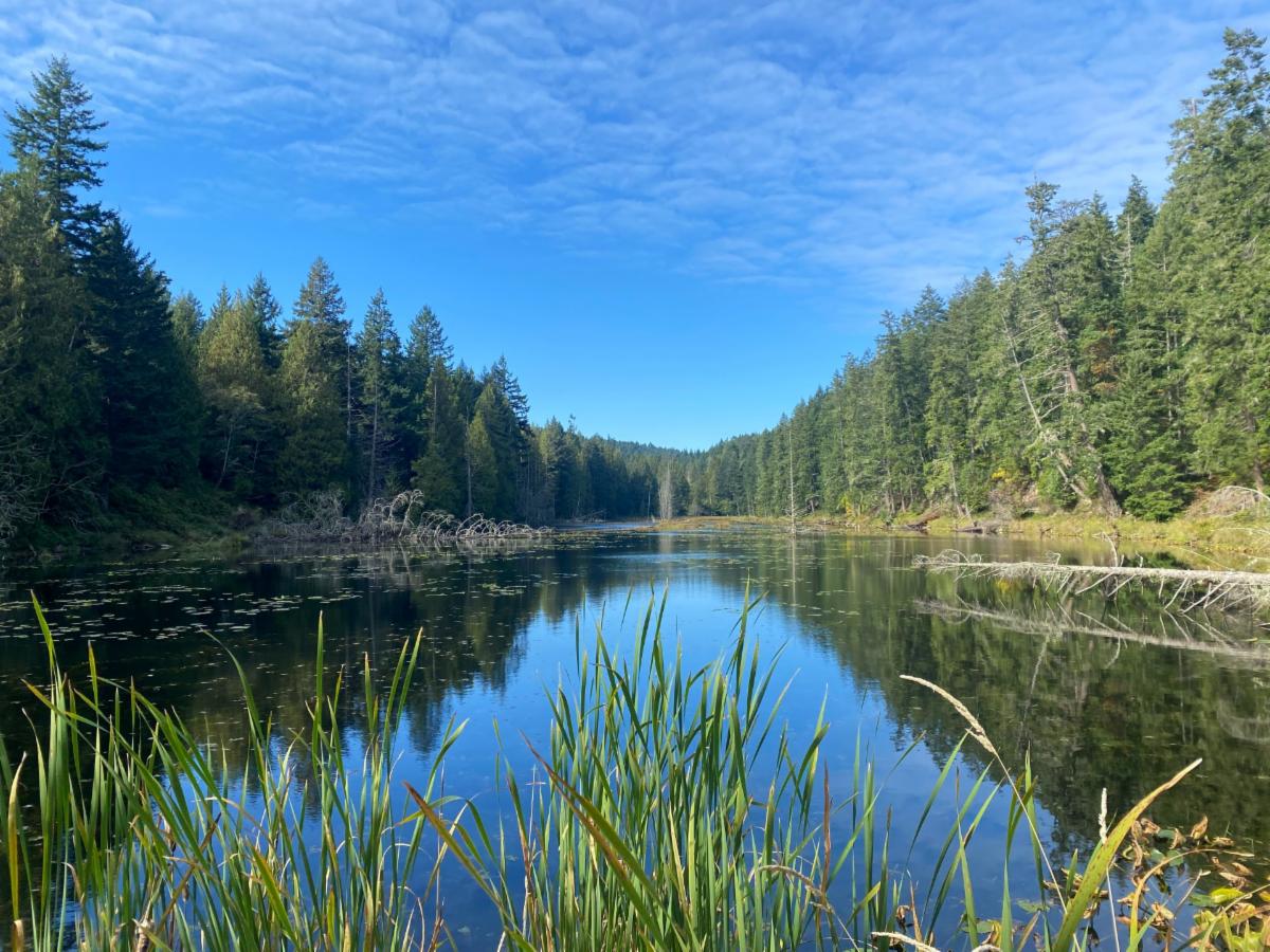 Photo of the Laughlin Lake Nature Reserve