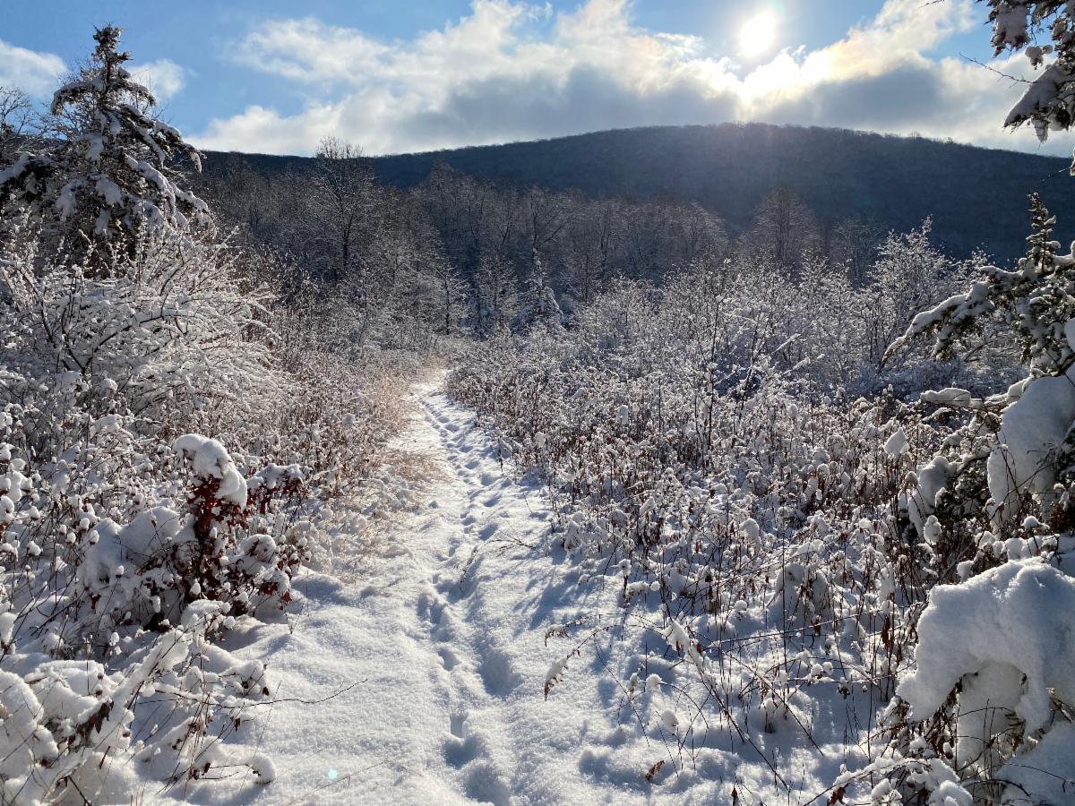 Cobble Brook Vista in winter