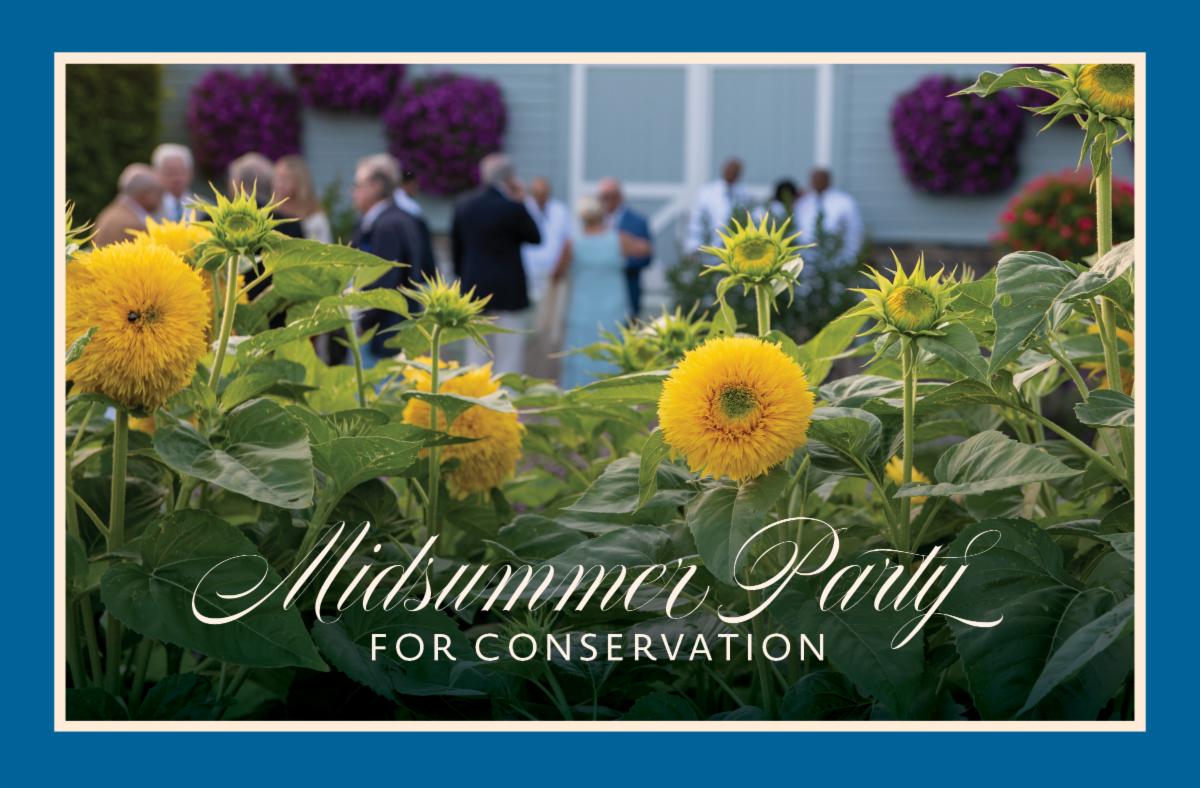 2025 Midsummer Party for Conservation