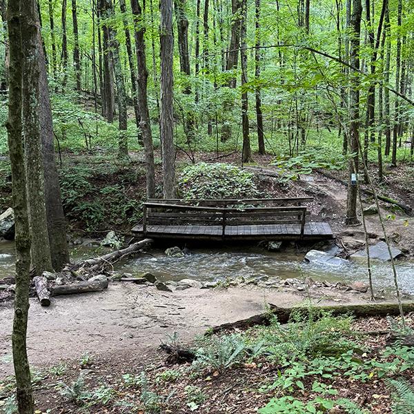 Mallory Preserve trails and bridge damage after severe thunderstorms