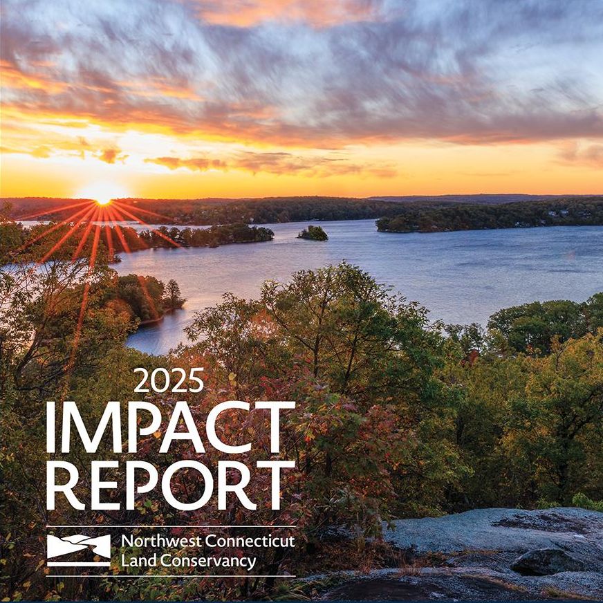 2025 Impact Report