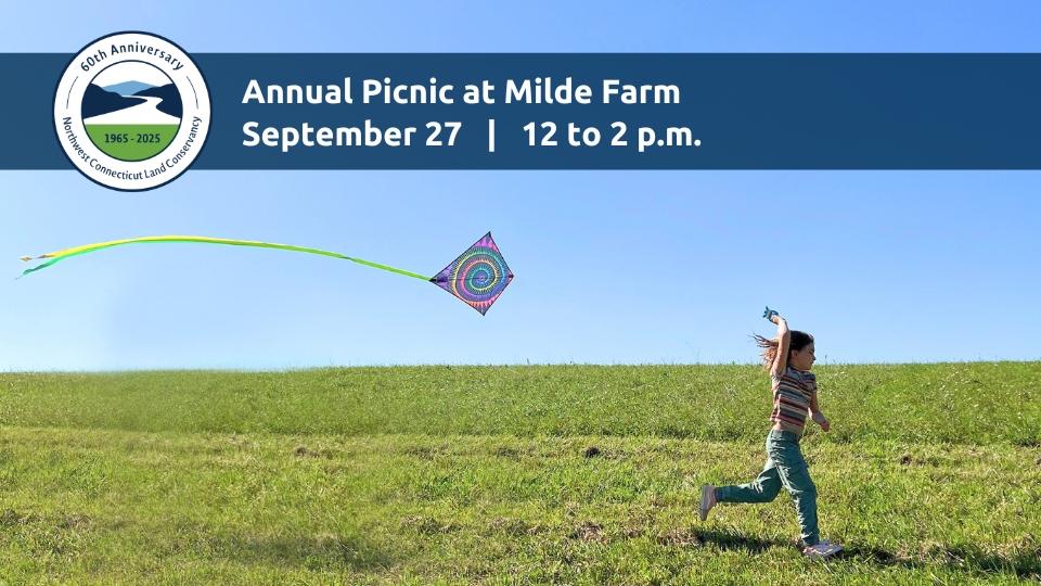 2025 Annual Picnic