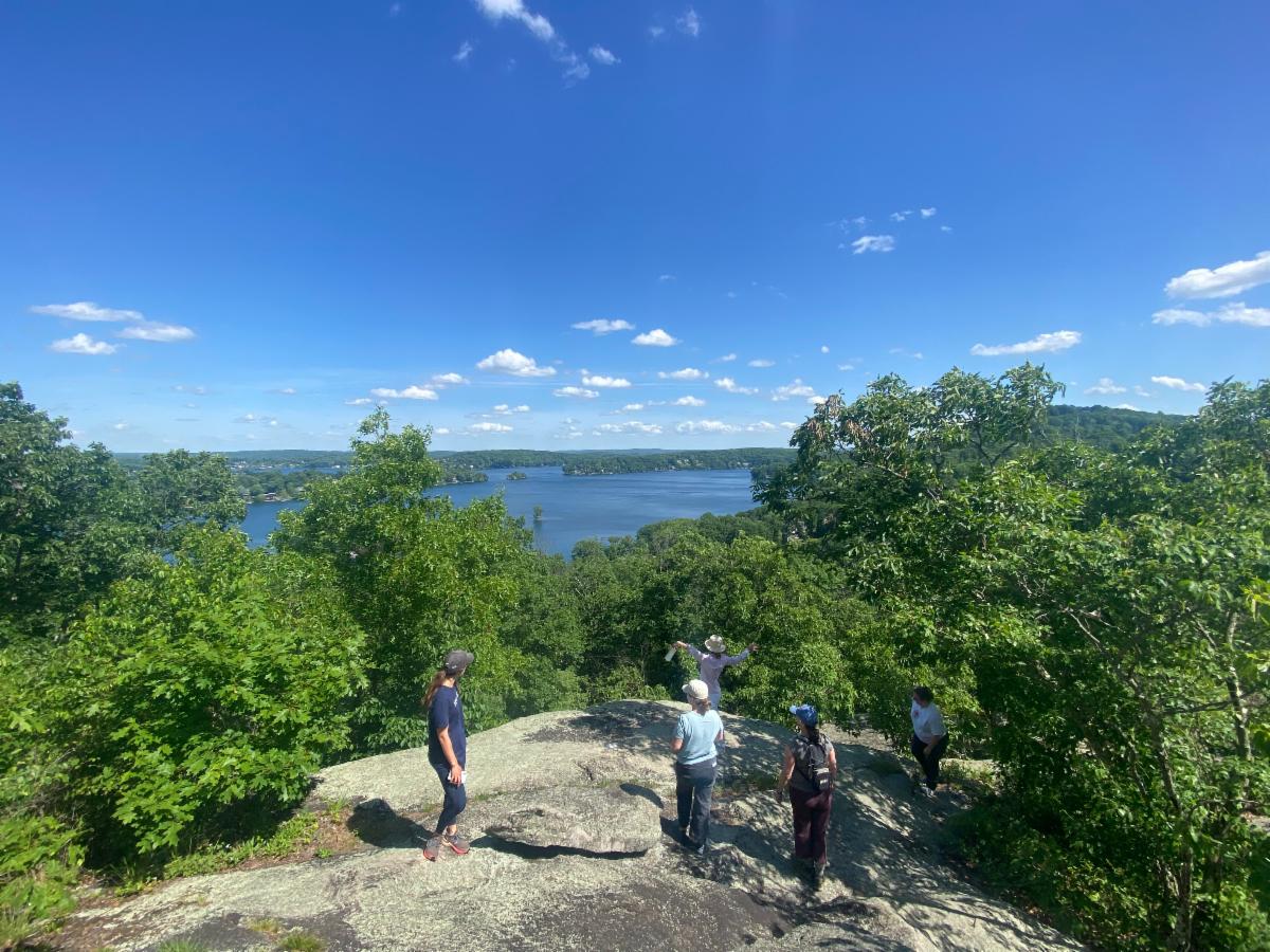 Sweetcake Mountain Preserve