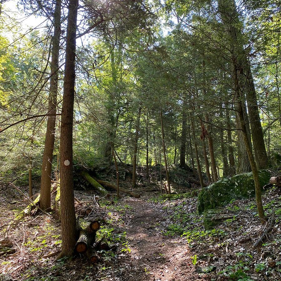 The Ledges