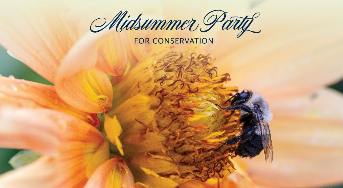 2026 Midsummer Party for Conservation Invite