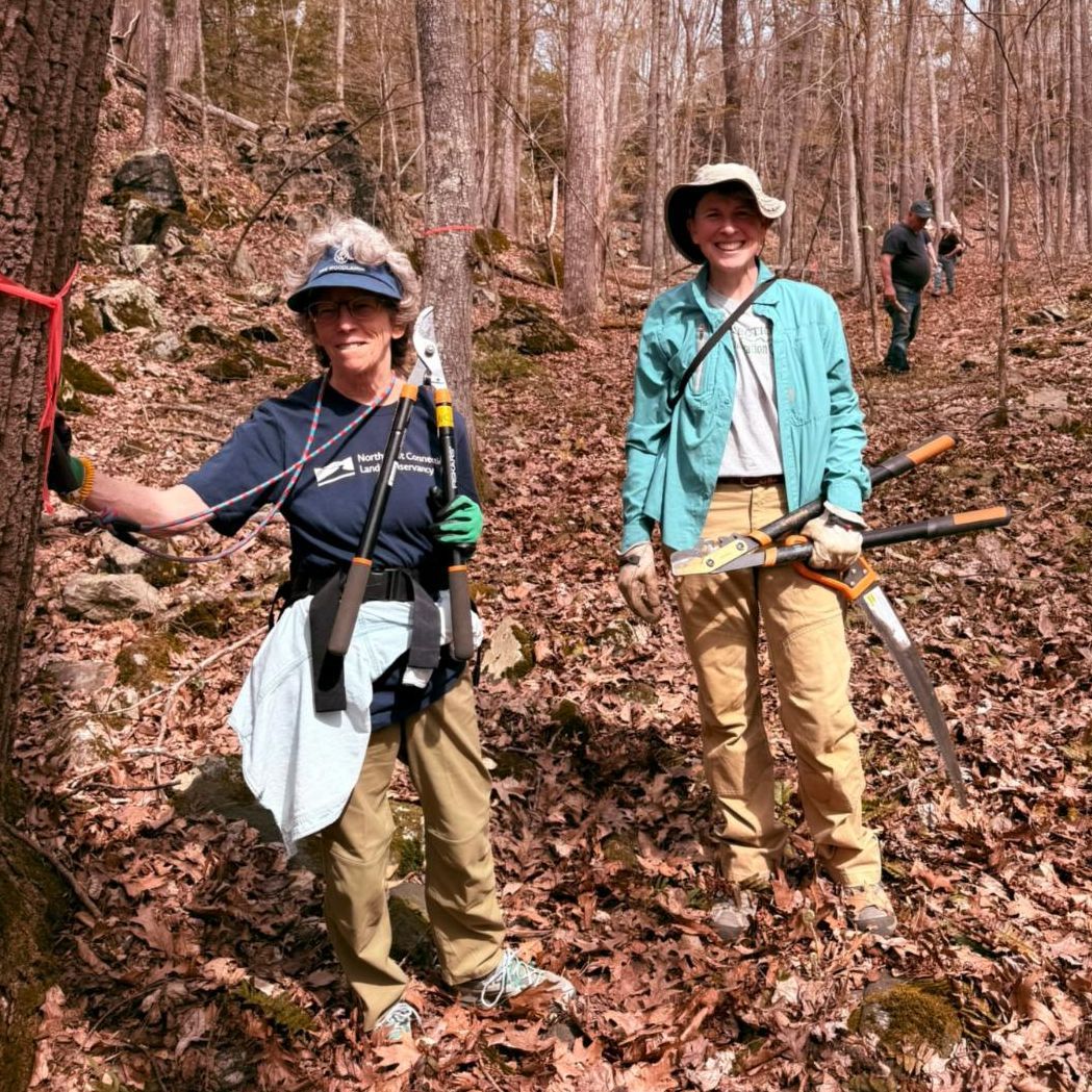 NCLC volunteers