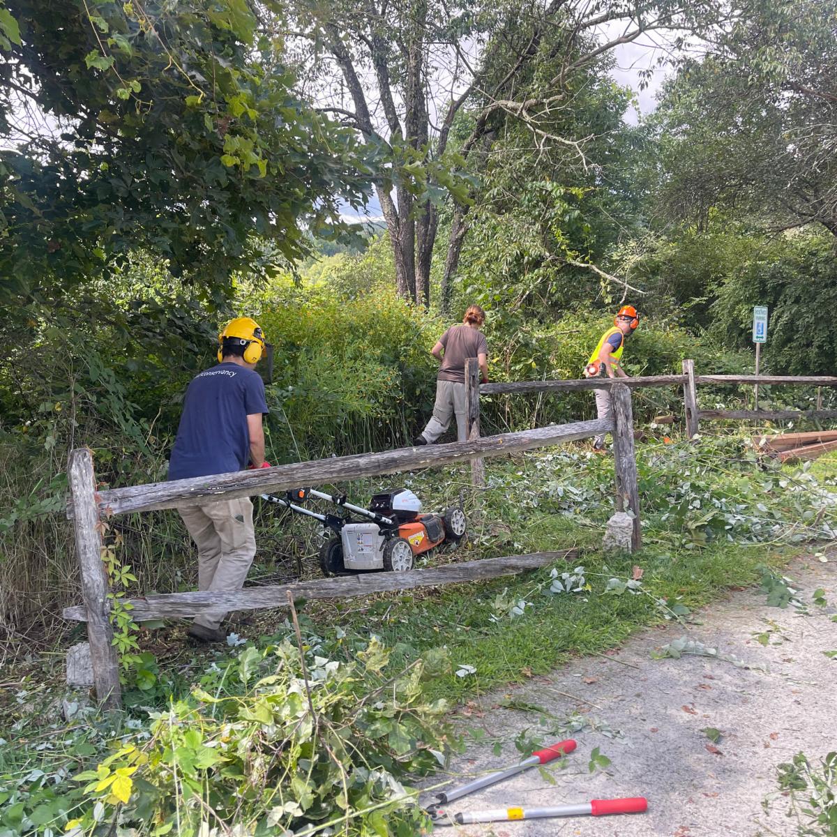 2026 Summer Trail Stewards working at Wimisink Preserve