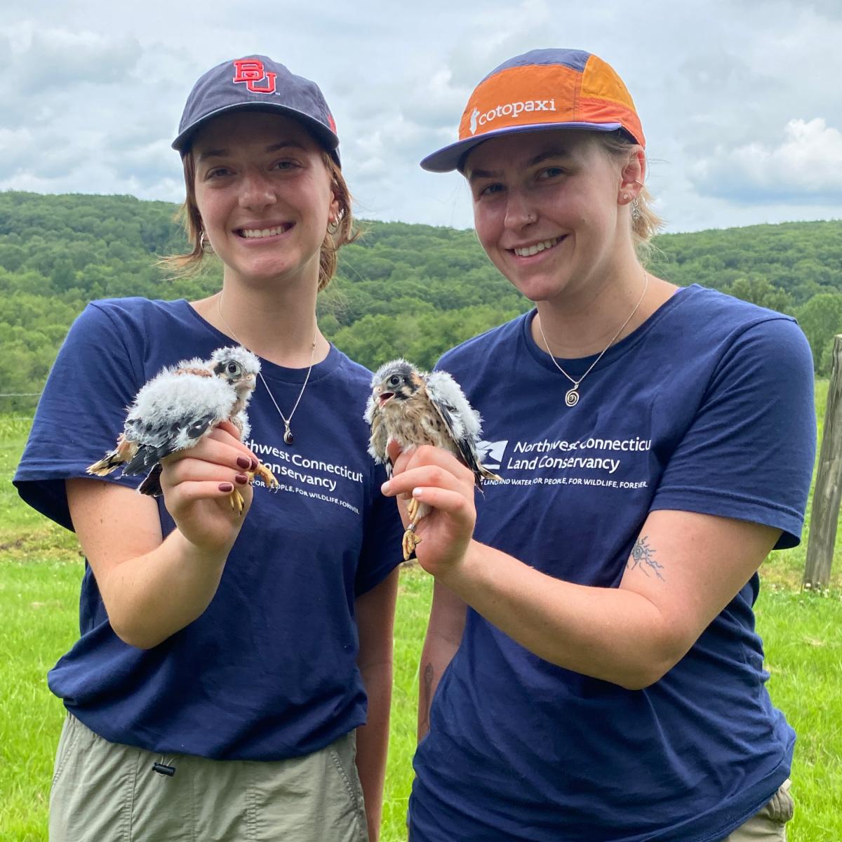 NCLC summer trail stewards holding American kestrel nestlings
