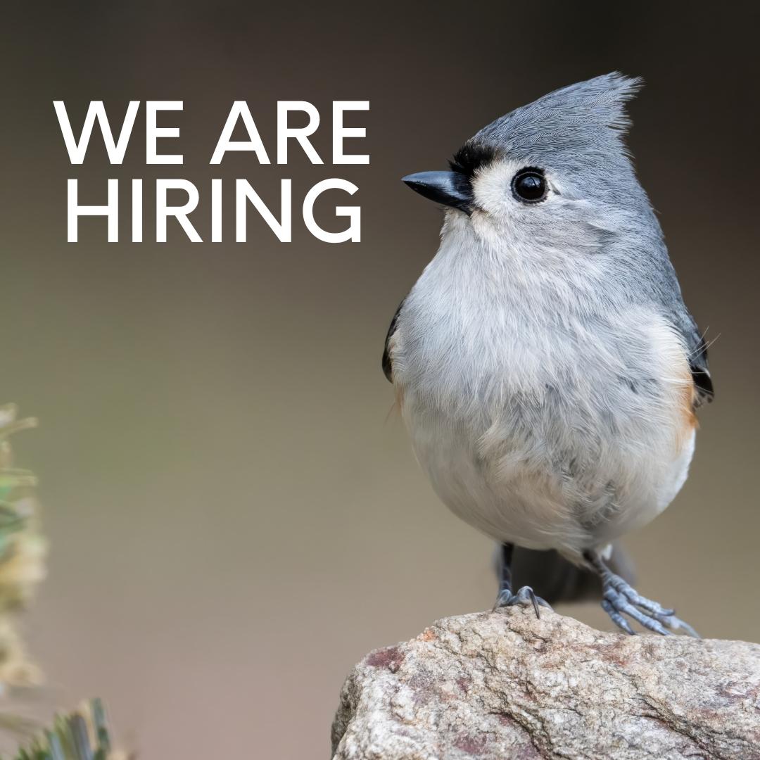We are hiring.