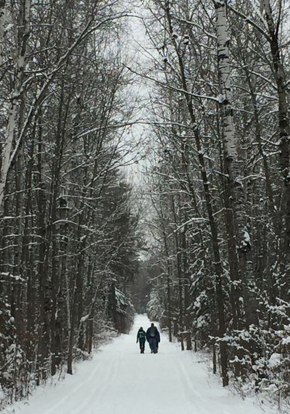 Photo of a person using a laptop with a dog sitting nearby.