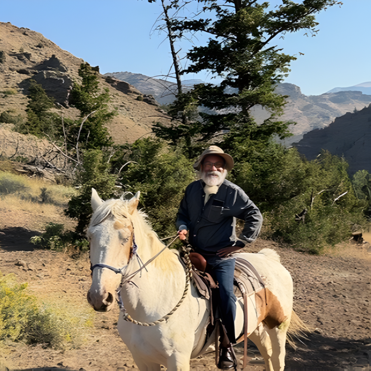 Buvan Unhelker horse fall