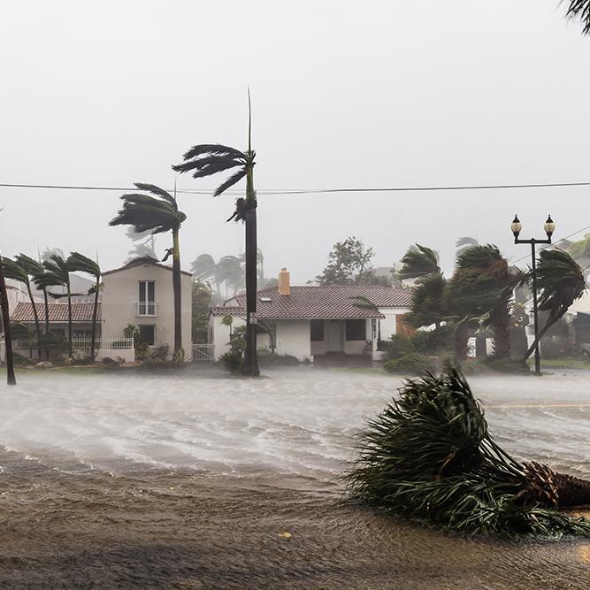 hurricane winds and water