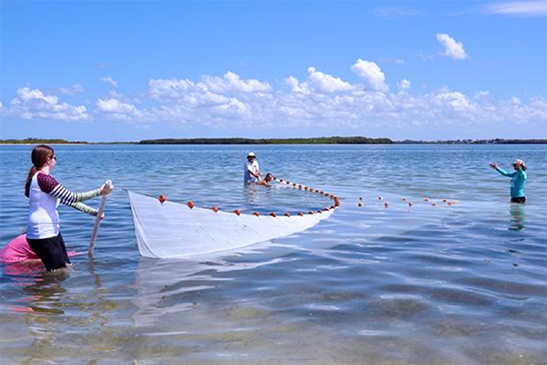 Clam-Bayou-leadership-st-pete-class-project.png