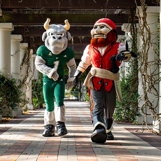 rocky d. bull and captain fear