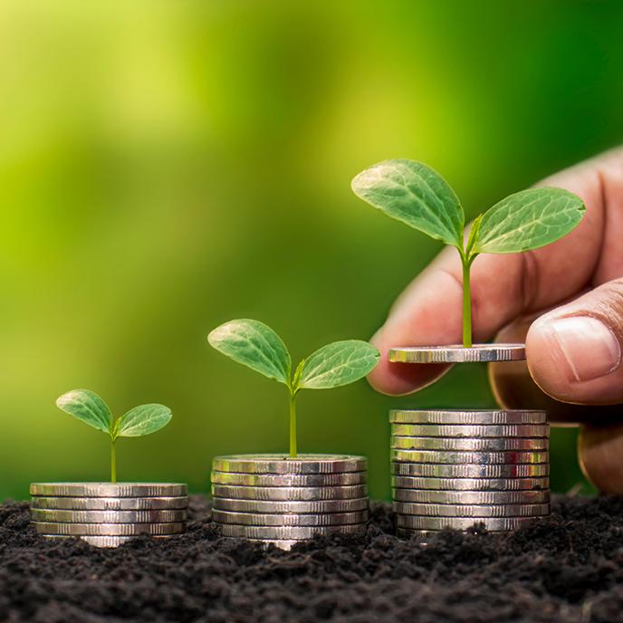 grow financial literacy planning clinic