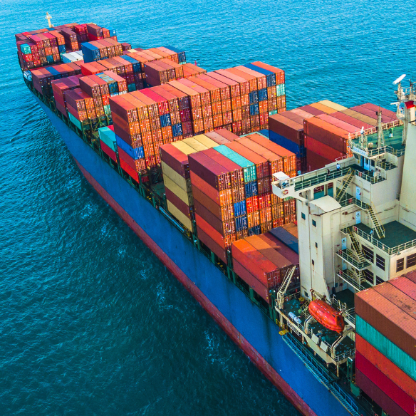 supply chain expert