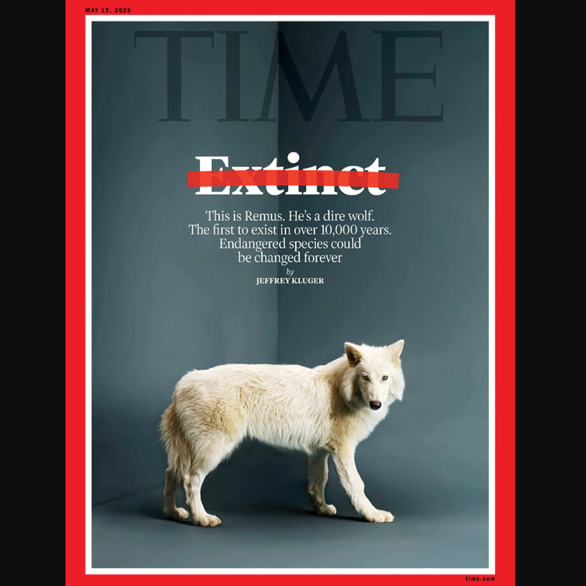 time magazine cover of dire wolf
