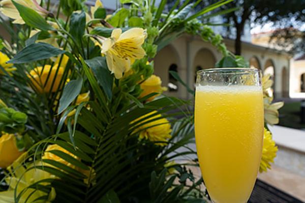 image of brunch on the bay
