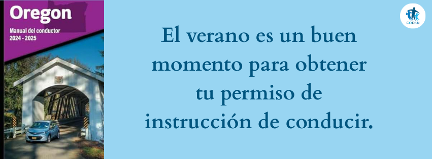 En verano es un buen momento para sacar tu permiso de conducir