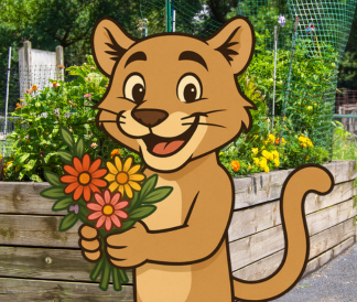 Illustrated puma holding a bouquet of flowers standing in front of garden beds
