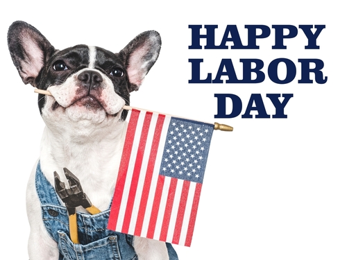 Happy Labor Day. Cute puppy dog and congratulatory inscription. Close-up_ indoors. Studio photo. Congratulations for relatives_ loved ones_ friends and colleagues. Pets care concept