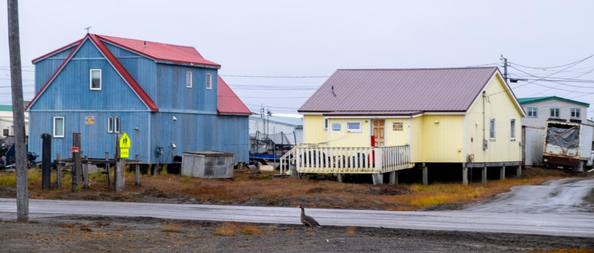 Join AML Housing Office Hours