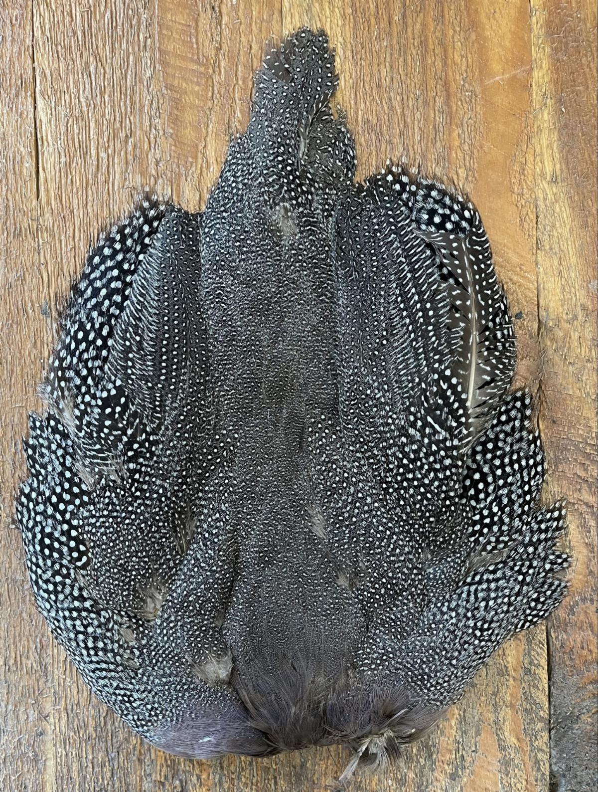 News from Blue Ribbon Flies