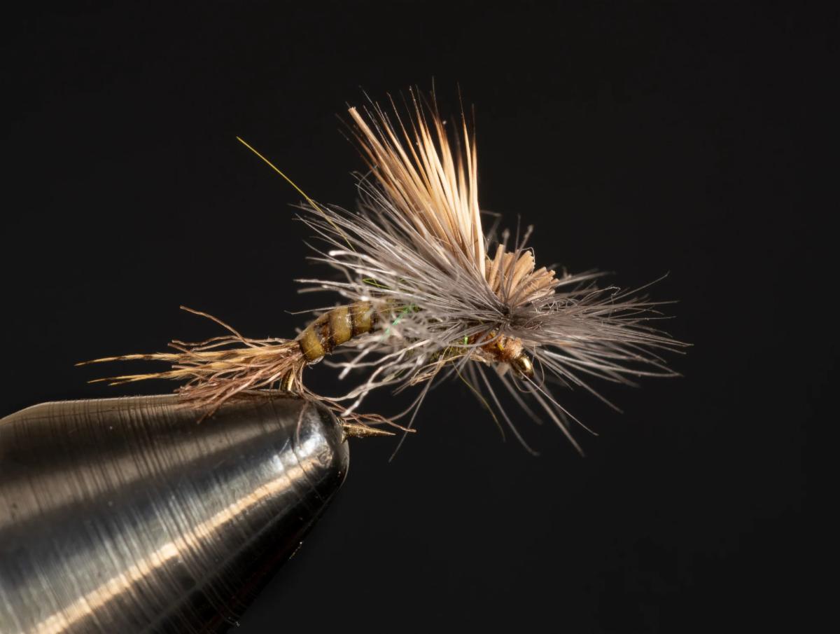 News from Blue Ribbon Flies