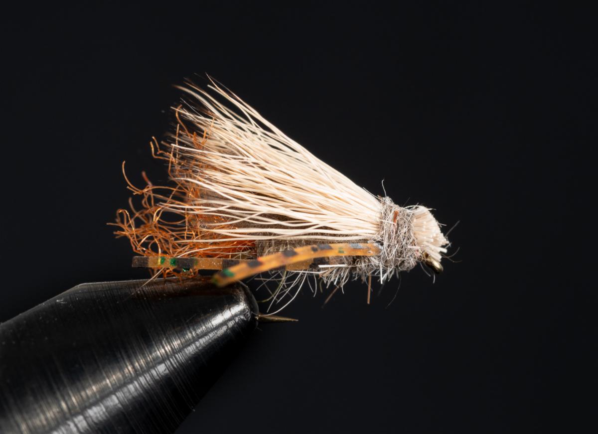Fly Back Bug News from Blue Ribbon Flies