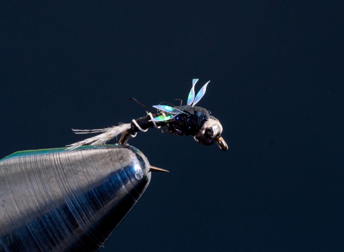 News from Blue Ribbon Flies
