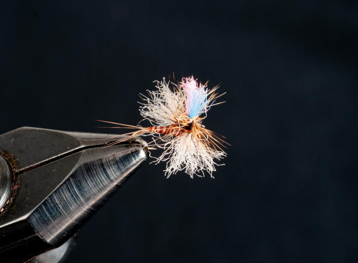 News from Blue Ribbon Flies