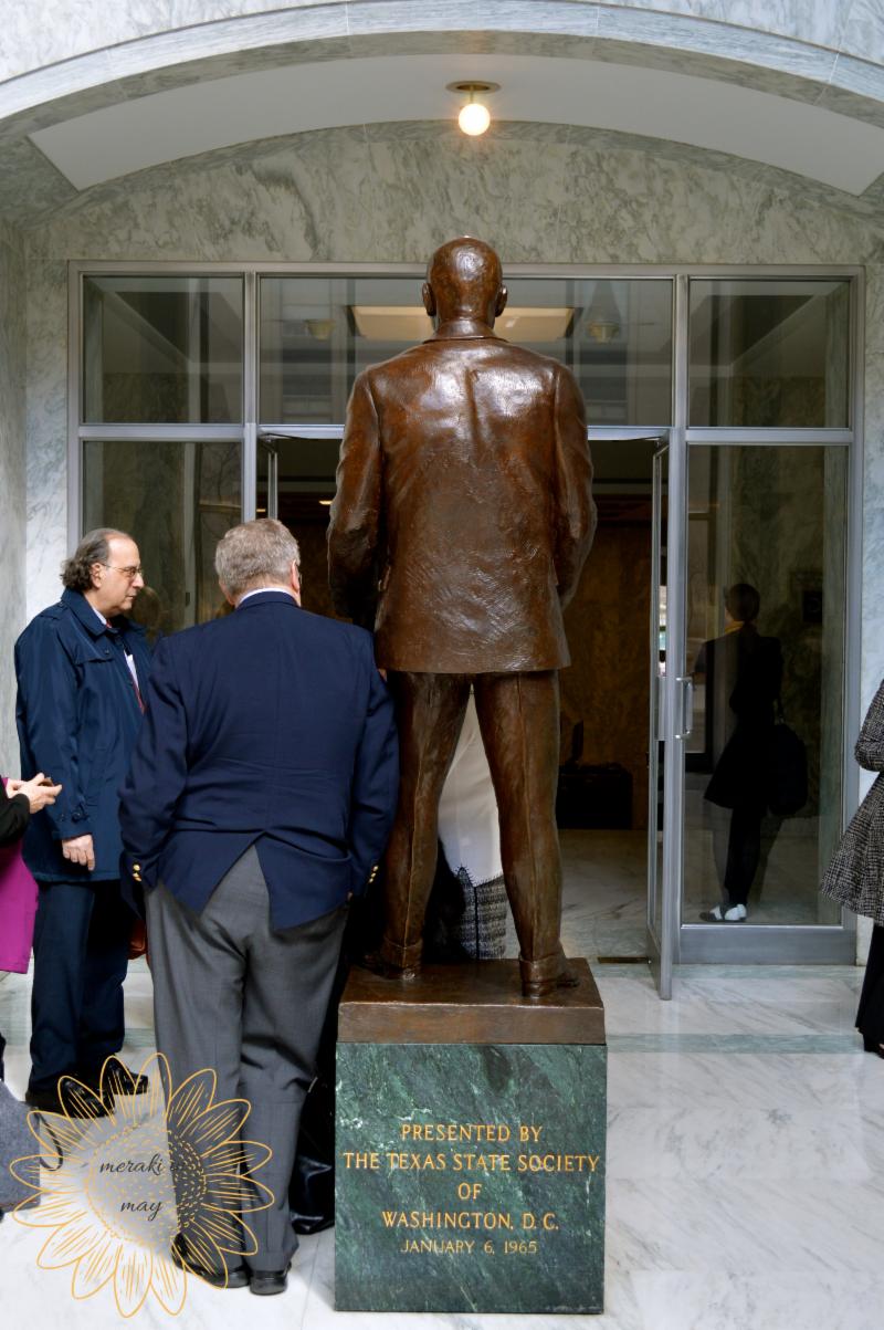 ASA Call to Action! Acupuncturists Take Capitol Hill!