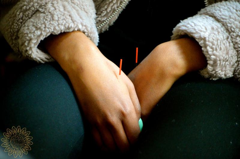 ASA Call to Action! Acupuncturists Take Capitol Hill!