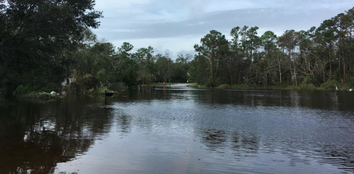 Cape Connection The Official Newsletter of the Town of Cape Carteret