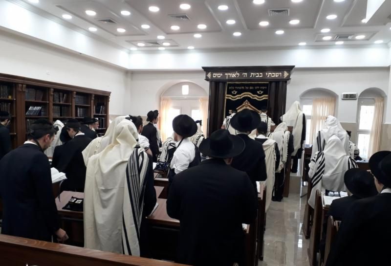 WhatsApp Image 2019-01-08 at 9.44.36 AM _1_.jpeg