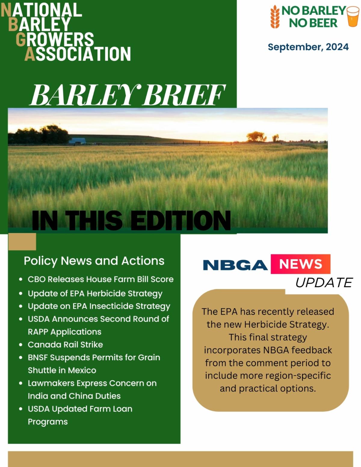 Company Newsletter.jpg