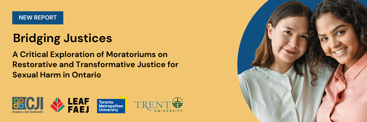 A banner image with the Bridging Justices report title and an image of two people 